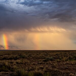 "Monsoon Bow Manzano" *