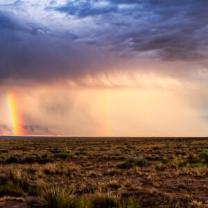 "Monsoon Bow Manzano" *